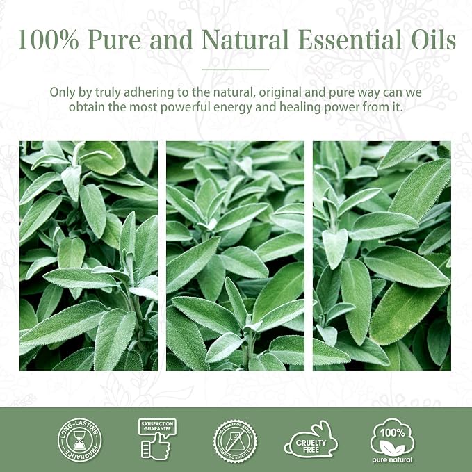 PHATOIL 3.38FL.OZ Clary Sage Essential Oil - Image 6