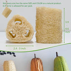 Natural Loofah Sponge, Organic Bath Loofah Pack, Lufas Exfoliating Body Scrubber - Image 3