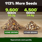 HOME GROWN 12 Fall Vegetable Seeds 9600+ Heirloom Non-GMO, High Germination - Image 4
