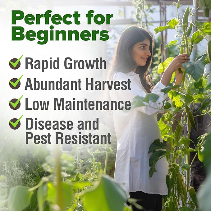 HOME GROWN Clemson Spineless Okra Seeds 101+ Heirloom Non-GMO Vegetable Seeds - Image 5