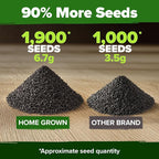 HOME GROWN 8 Onion Variety Mix 1600+ Heirloom Non-GMO Seeds - Image 4