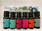 Eternal Essence Oils Island Getaway Set of 6 Premium Fragrance Oils - Image 6