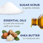 Dr Teal's Shea Sugar Scrub Trial Pack, Shea Butter, Citrus 19 oz - Image 3