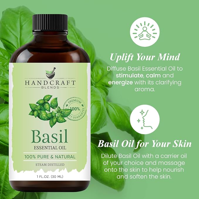 Handcraft Blends Basil Essential Oil – 1 Fl Oz – 100% Pure and Natural – - Image 4