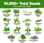 HOME GROWN 30 Herb Seeds for Planting 10, 900+ Non-GMO Heirloom Seeds | Extra - Image 4