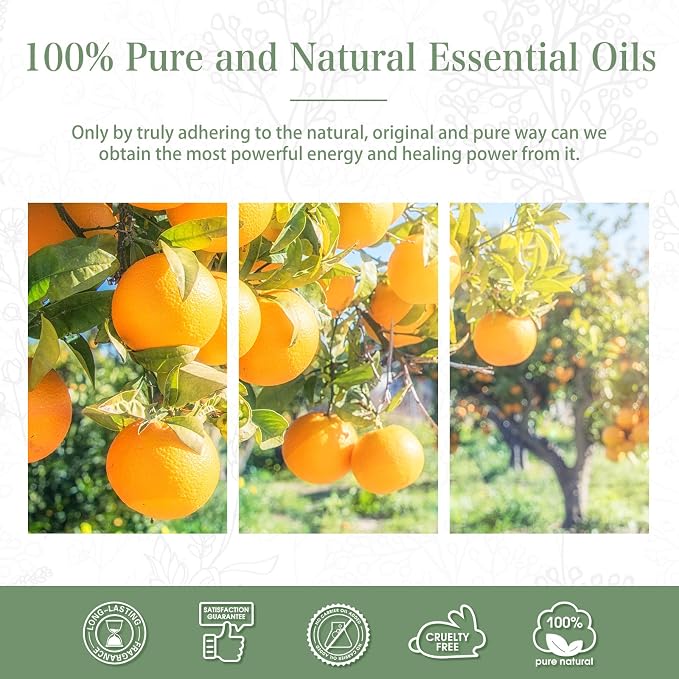 PHATOIL 30ML Sweet Orange Essential Oil, - Image 6