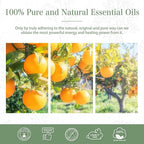 PHATOIL 30ML Sweet Orange Essential Oil, - Image 6
