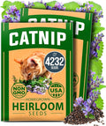 HOME GROWN Catnip Seeds Heirloom Herb 4232 Seeds by HOMEGROWN