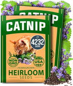 HOME GROWN Catnip Seeds Heirloom Herb 4232 Seeds by HOMEGROWN