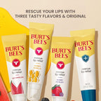 Burt's Bees Rescue Lip Relief, Watermelon & Berry Medley, Hydrating Lip Balm - Image 9