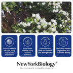 New York Biology Tea Tree Mint Body Wash - Image 6