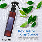 Scentify Bliss Odor Neutralizing Room Spray – Luxury Eucalyptus & Bergamot - Image 8