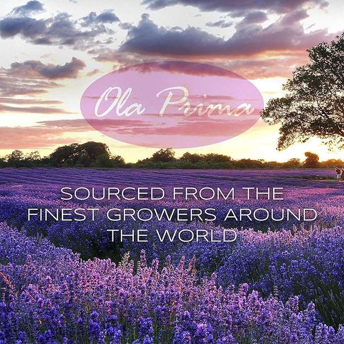 Ola Prima 4 oz Lavender Essential Oil - Image 2