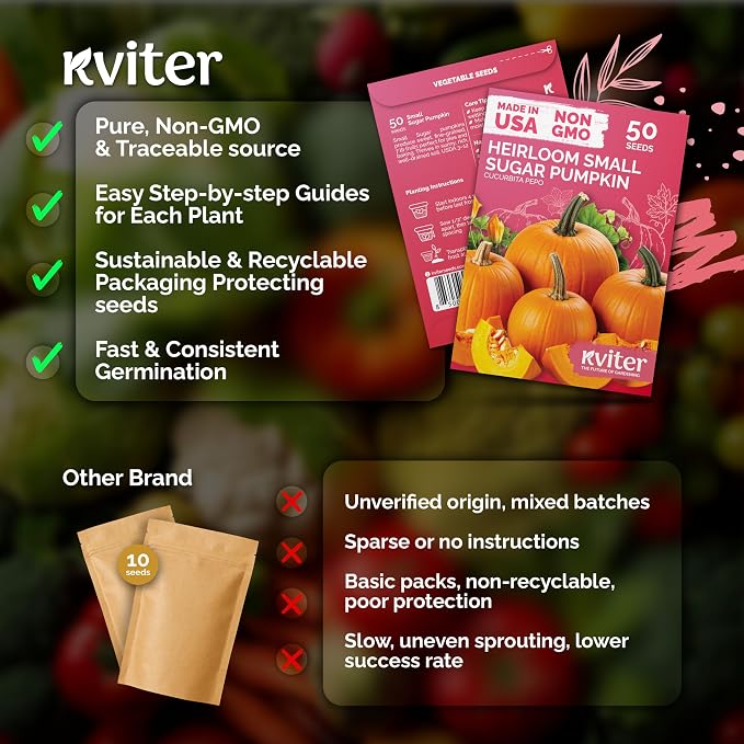 KVITER 50 Sugar Pumpkin Seeds Organic – Small Pumpkin Heirloom Seed, Sweet - Image 5