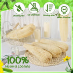 11.8 inches Natural Loofah Sponges Pack of 6, - Image 3