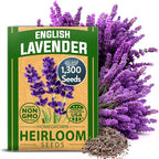 HOME GROWN Premium English Lavender Seeds -1, 300 Herb Seeds, Wildflower Seed by HOMEGROWN