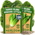 HOME GROWN Parris Island Romaine Lettuce Seeds 7000+ Bulk Pack Heirloom Non-GMO by HOMEGROWN