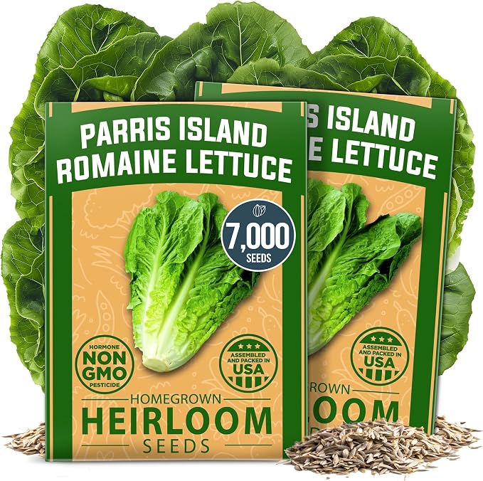 HOME GROWN Parris Island Romaine Lettuce Seeds 7000+ Bulk Pack Heirloom Non-GMO by HOMEGROWN