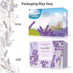 Air Freshener for Home, 4 Pack, Odor Eliminator for Small Area Closets Bathroom - Image 5
