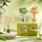 Airkeep Reed Diffuser Set of 3 - Image 5