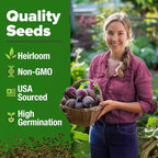 HOME GROWN Detroit Dark Red Beet Seeds 1000+ Heirloom Non-GMO Seeds - Image 3