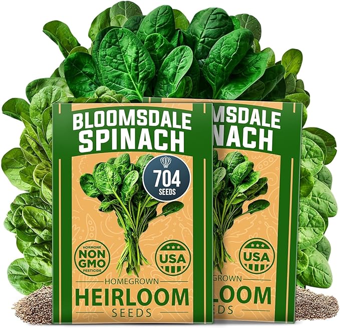 HOME GROWN Bloomsdale Spinach Seeds 704+ Heirloom Non-GMO Seeds by HOMEGROWN