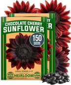 HOME GROWN Chocolate Cherry Sunflower Seeds – 150 Heirloom Non-GMO Seeds – by HOMEGROWN