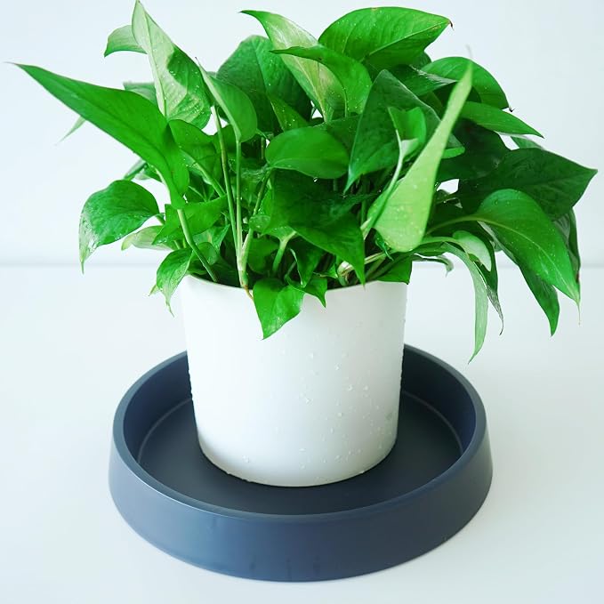 Plant Saucer Tray for Ceramic Plastic Pots, 14 inch Plant Saucers for Indoors - Image 3