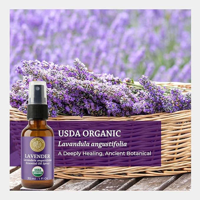 Silk Road Organic Lavender Essential Oil Spray, Lavandula Angustifolia - Image 6
