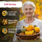 KVITER 50 Small Gourd Seeds Mix – Ornamental Fall Decor Gourds, Non GMO & - Image 4