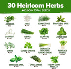 HOME GROWN 30 Herb Seeds for Planting 10, 900+ Non-GMO Heirloom Seeds | Extra - Image 3