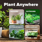 HOME GROWN 12 Fall Vegetable Seeds 9600+ Heirloom Non-GMO, High Germination - Image 8