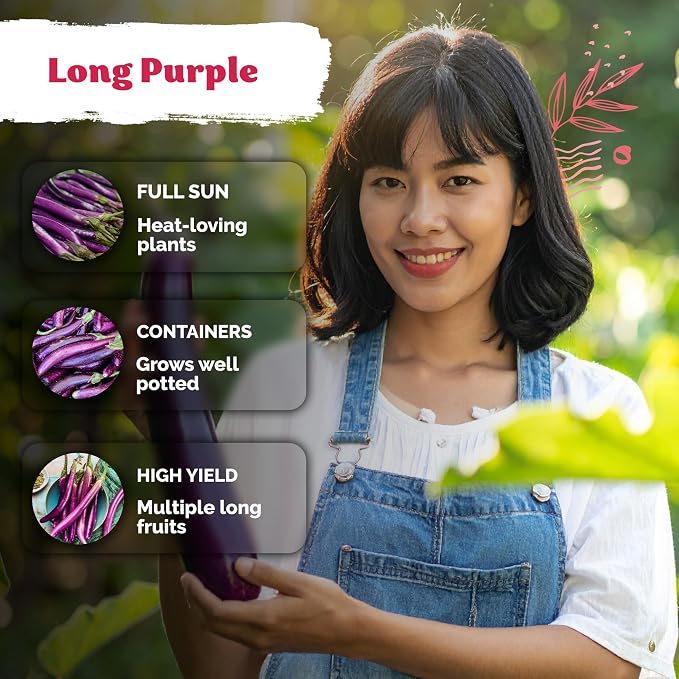 KVITER 175 Long Purple Eggplant Seeds – Asian Eggplant, Dark Purple Italian Egg - Image 4