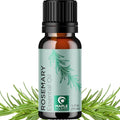 Pure Rosemary Essential Oil for Aromatherapy by MapleHolistics