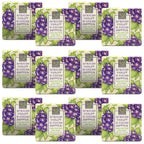 Greenwich Bay Mini Botanical Soap Bars – 12 Pack 1.9 oz Each – Individually by Greenwich+Bay+Trading+Company