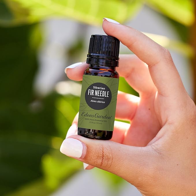 Edens Garden Fir Needle- Siberian Essential Oil- 100% Pure Premium Grade - Image 2