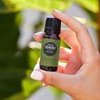 Edens Garden Fir Needle- Siberian Essential Oil- 100% Pure Premium Grade - Image 2