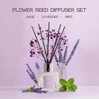 Airkeep Reed Diffuser Set, 3.38 fl oz - Image 2