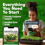 HOME GROWN Non GMO Genovese Basil Seeds Pack 1, 750+ High Germination Heirloom - Image 8