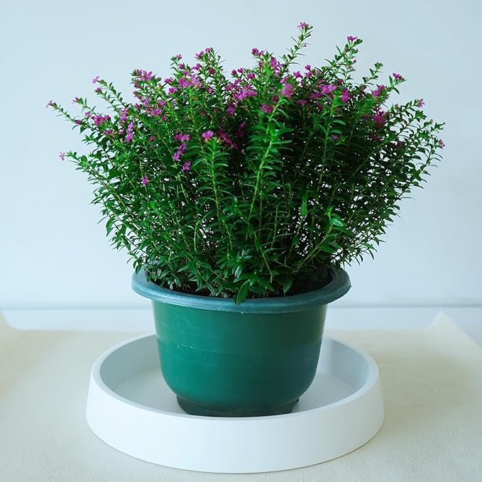 Plant Saucer Tray for Ceramic Plastic Pots, 20 inch Plant Saucers for Indoors - Image 5
