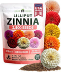 HOME GROWN Zinnia Lilliput Mix Flower Seeds by HOMEGROWN