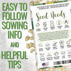 Seed Needs Zucchini Seeds for Planting Black Beauty Summer Squash - Image 2