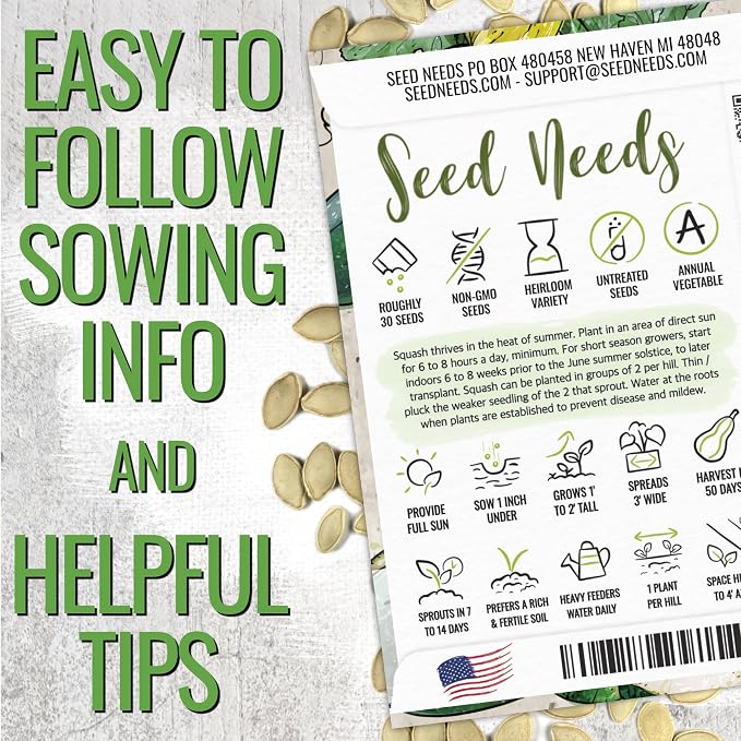 Seed Needs Zucchini Seeds for Planting Black Beauty Summer Squash - Image 2