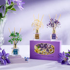 Airkeep Reed Diffuser Set of 3, Cinnamon Vanilla Lavender Field Moroccan Amber - Image 8
