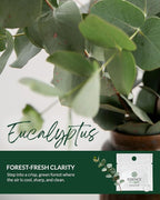 Essence Wearable Aromatherapy Nasal Diffuser – Eucalyptus Essential Oil Nose - Image 3