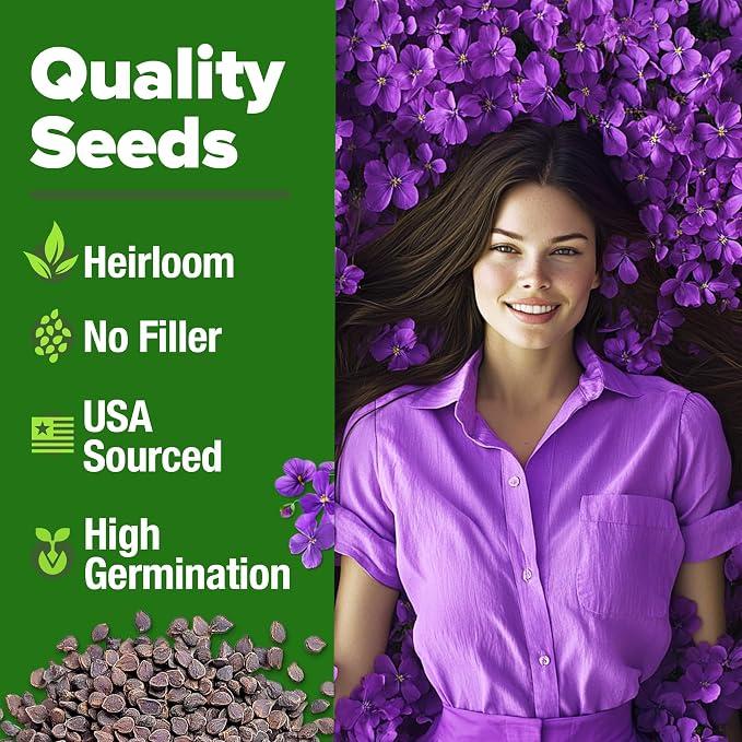 HOME GROWN Aubrieta Rock Cress Purple, Flowering Ground Cover Seed Pack - Image 2