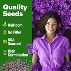 HOME GROWN Aubrieta Rock Cress Purple, Flowering Ground Cover Seed Pack - Image 2