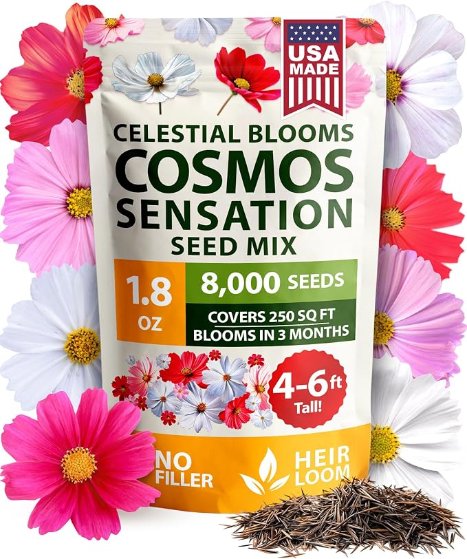 HOME GROWN Cosmos Flower Seeds Bulk Pack by HOMEGROWN