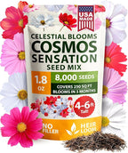 HOME GROWN Cosmos Flower Seeds Bulk Pack by HOMEGROWN