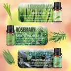 Pure Essential Oil Set - Image 3